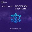 Outstanding White label blockchain solutions development company  - Block Sentinels