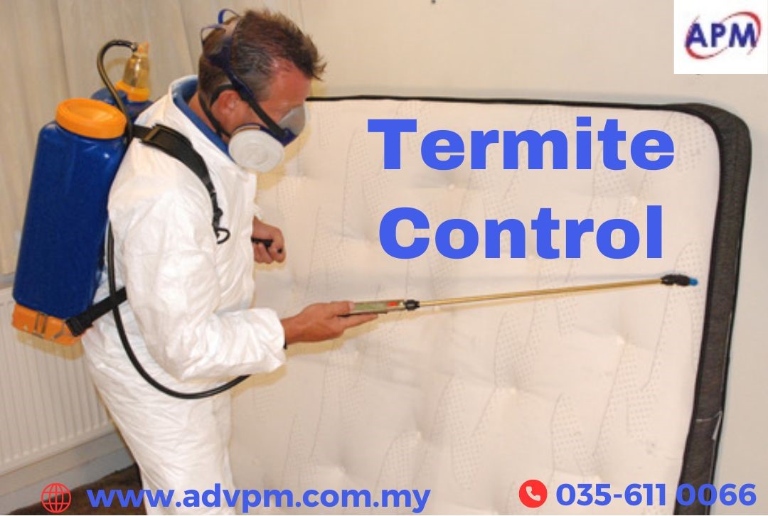 Find Best Termite Control Method in Malasiya